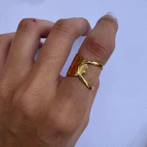 ANILLO C