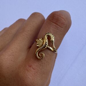ANILLO CABALLITO