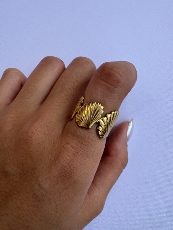ANILLO CONCHITAS