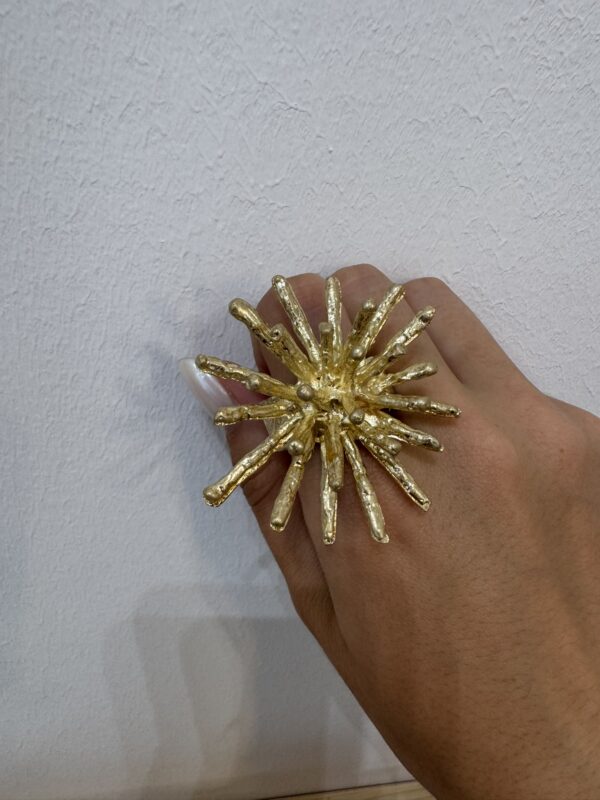 ANILLO PUAS